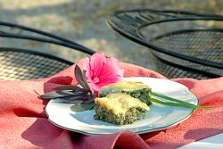 Image: Ground elder casserole