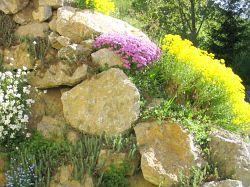 Image: Dry stone wall